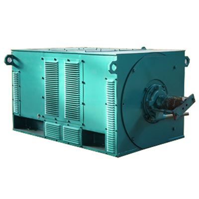 Y系列高壓三相異步電動(dòng)機(jī)