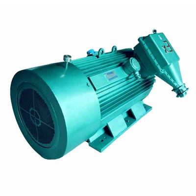 YBX2系列高壓隔爆型高效率三相異步電動機(jī)