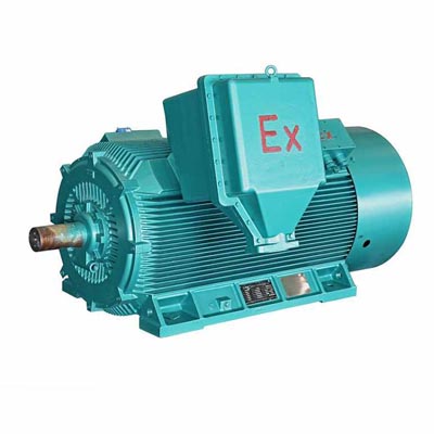 YB2系列高壓隔爆型高效率三相異步電動機(jī)
