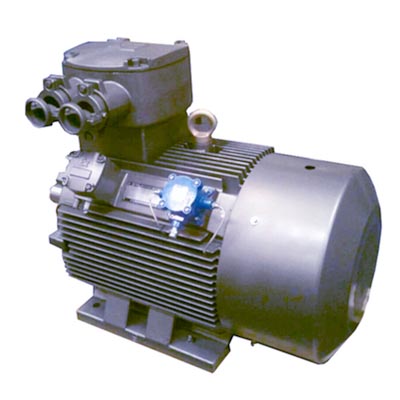 YBE2系列隔爆型高效率三相異步電動機(jī)