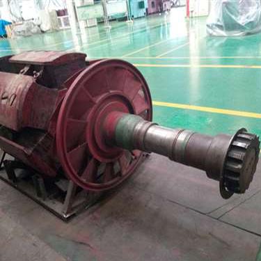 北京某變頻柜廠家試驗用電機T3200、1730-10KV轉(zhuǎn)子磁極線圈修復