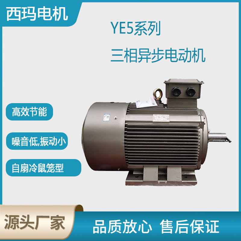 西瑪品牌YE5型號三相異步電動機(jī)賞析！