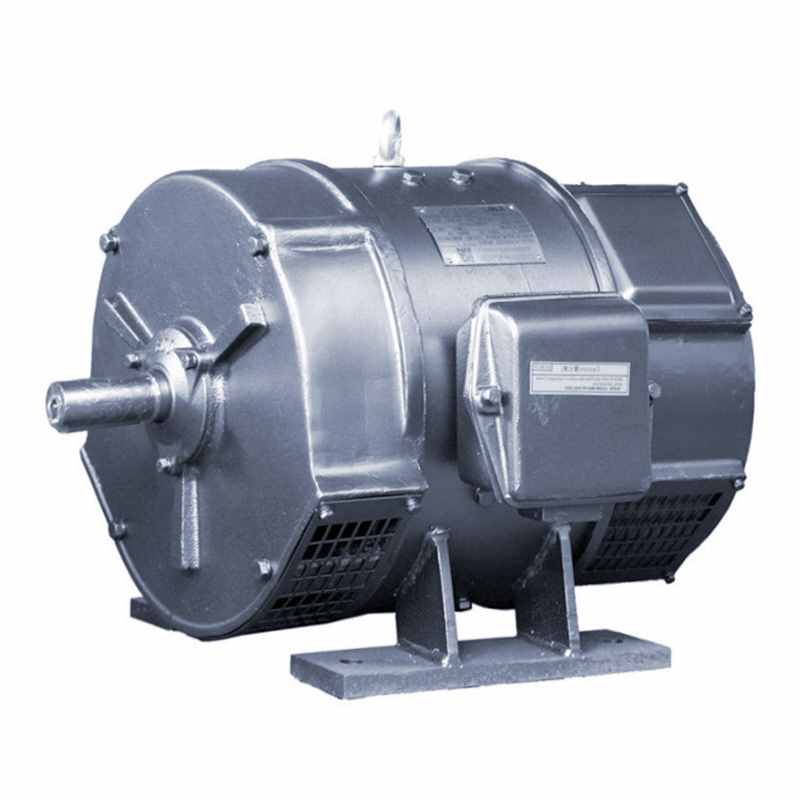 客觀分析2025年三相異步電動(dòng)機(jī)發(fā)展趨勢(shì)