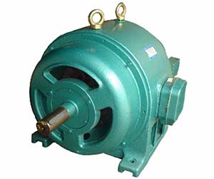 西瑪電機導(dǎo)向系統(tǒng)中繞線轉(zhuǎn)子和籠式轉(zhuǎn)子之間的性能差異？